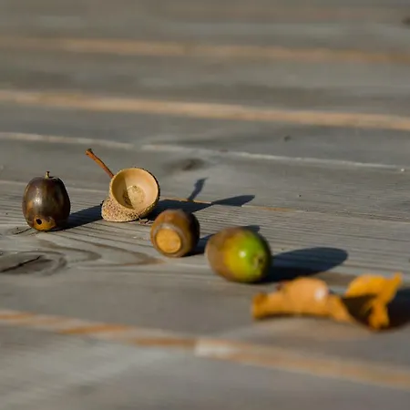 דירה Apartmaji Rajska Ptica