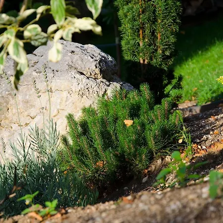 דירה Apartmaji Rajska Ptica