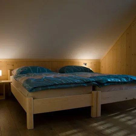 Apartmaji Rajska Ptica דירה בלד