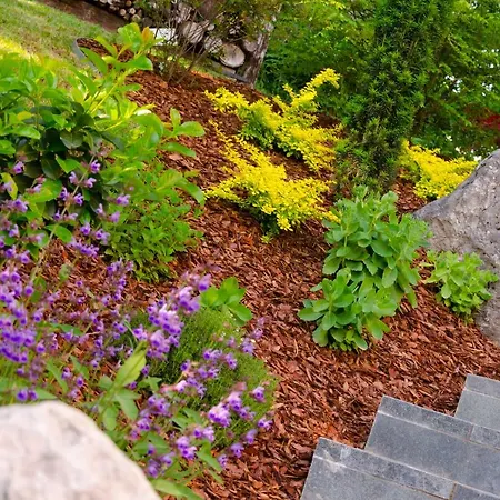 Apartmaji Rajska Ptica Lägenhet