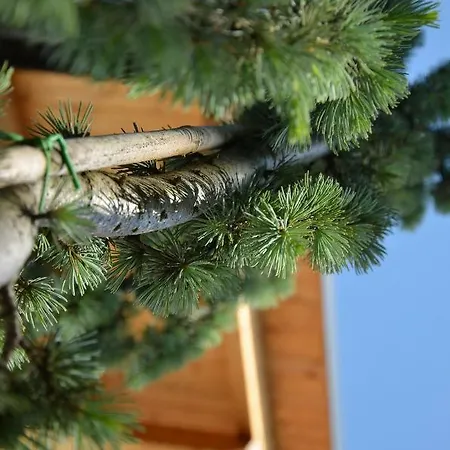 Apartmaji Rajska Ptica * בלד