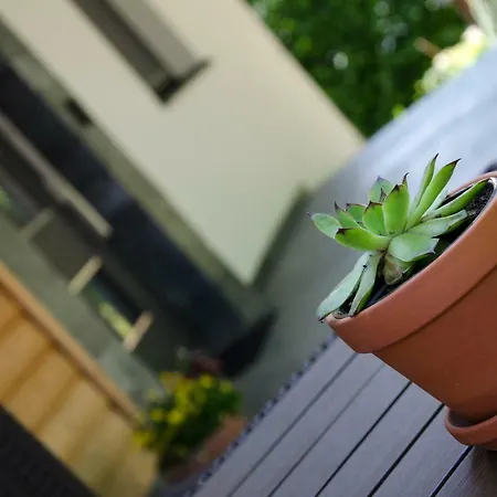 Apartmaji Rajska Ptica בלד