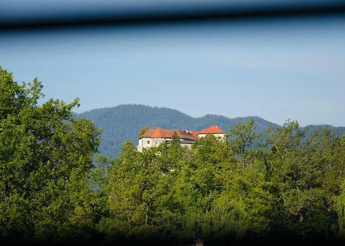 Daire Apartmaji Rajska Ptica *