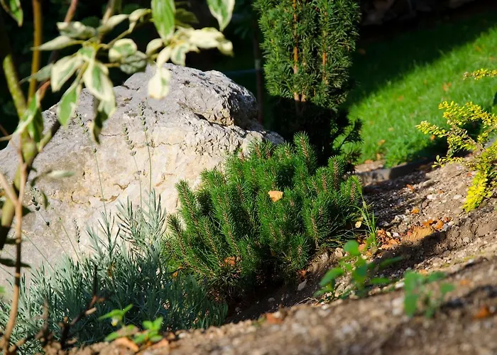 Daire Apartmaji Rajska Ptica