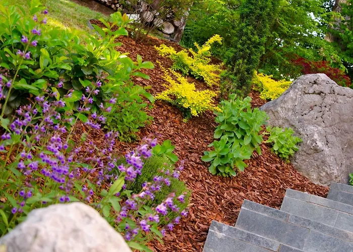 Apartmaji Rajska Ptica Daire