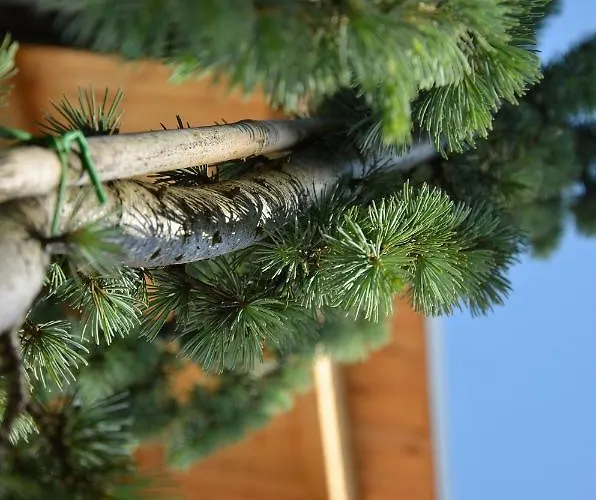 Apartmaji Rajska Ptica * Bled