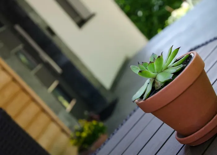 Apartmaji Rajska Ptica Bled